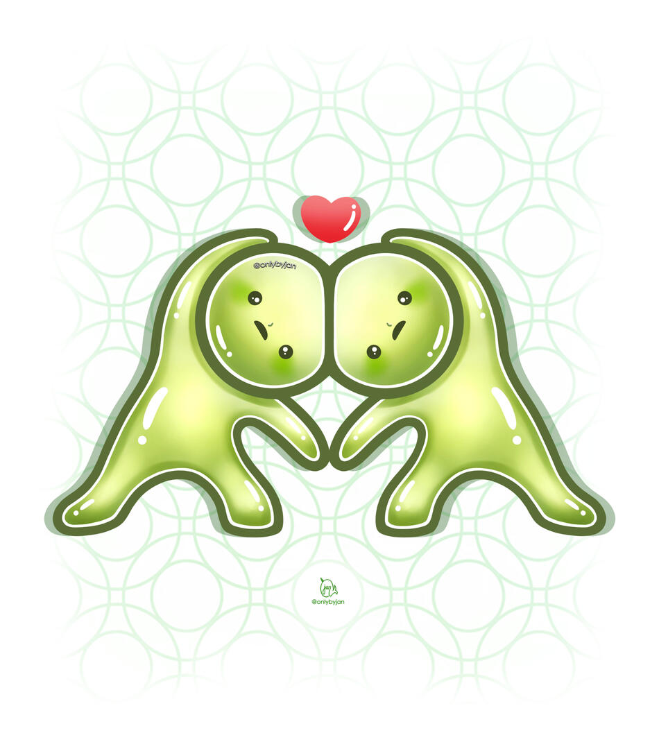 SMISKI Twin Hearts SMISKI Twin Hearts