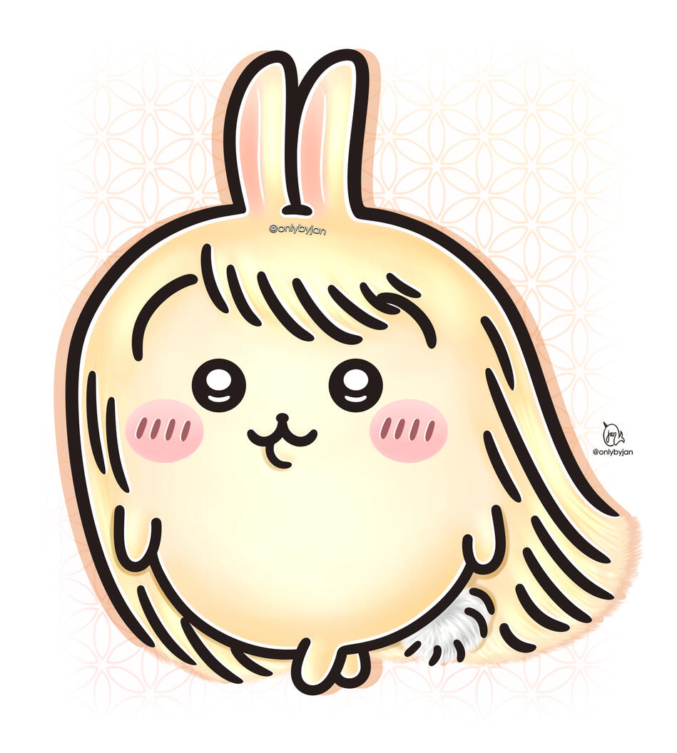 Usagi Long Hair Usagi Long Hair